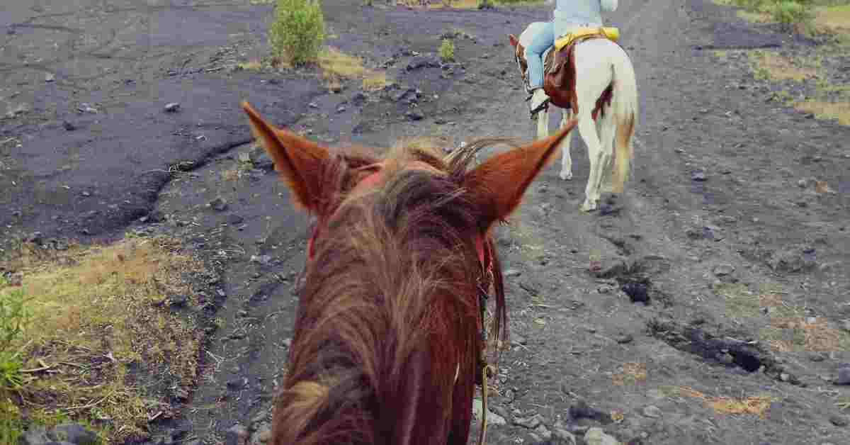 En Caballo al Pie del Volcán Paricutín Por Angahuan - Imagen 6