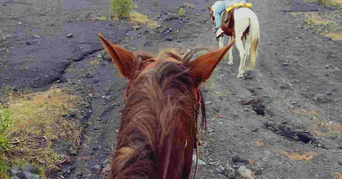 En Caballo al Pie del Volcán Paricutín Por Angahuan - Imagen 2
