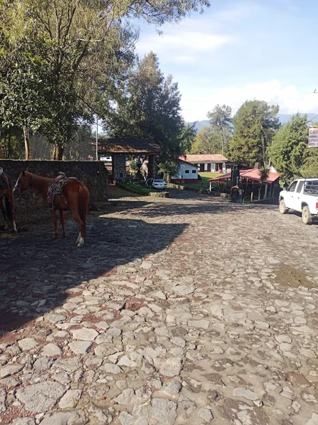 Paricutín