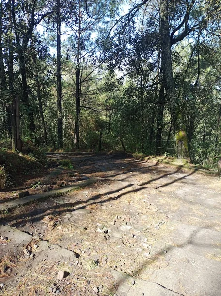 Paricutín