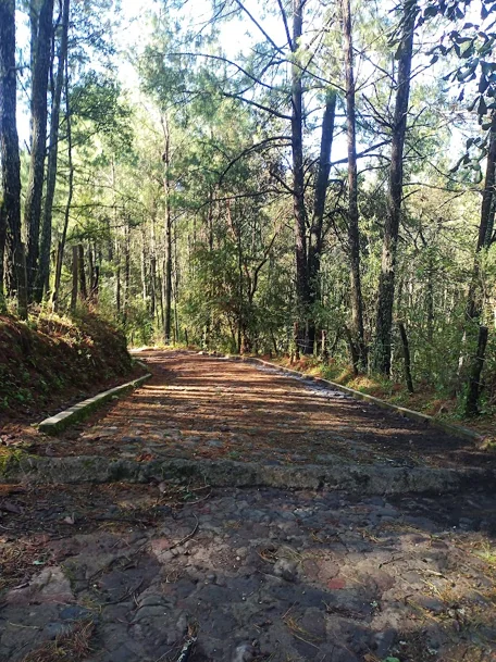 Paricutín