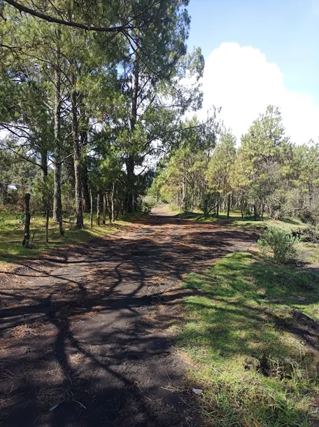 Paricutín